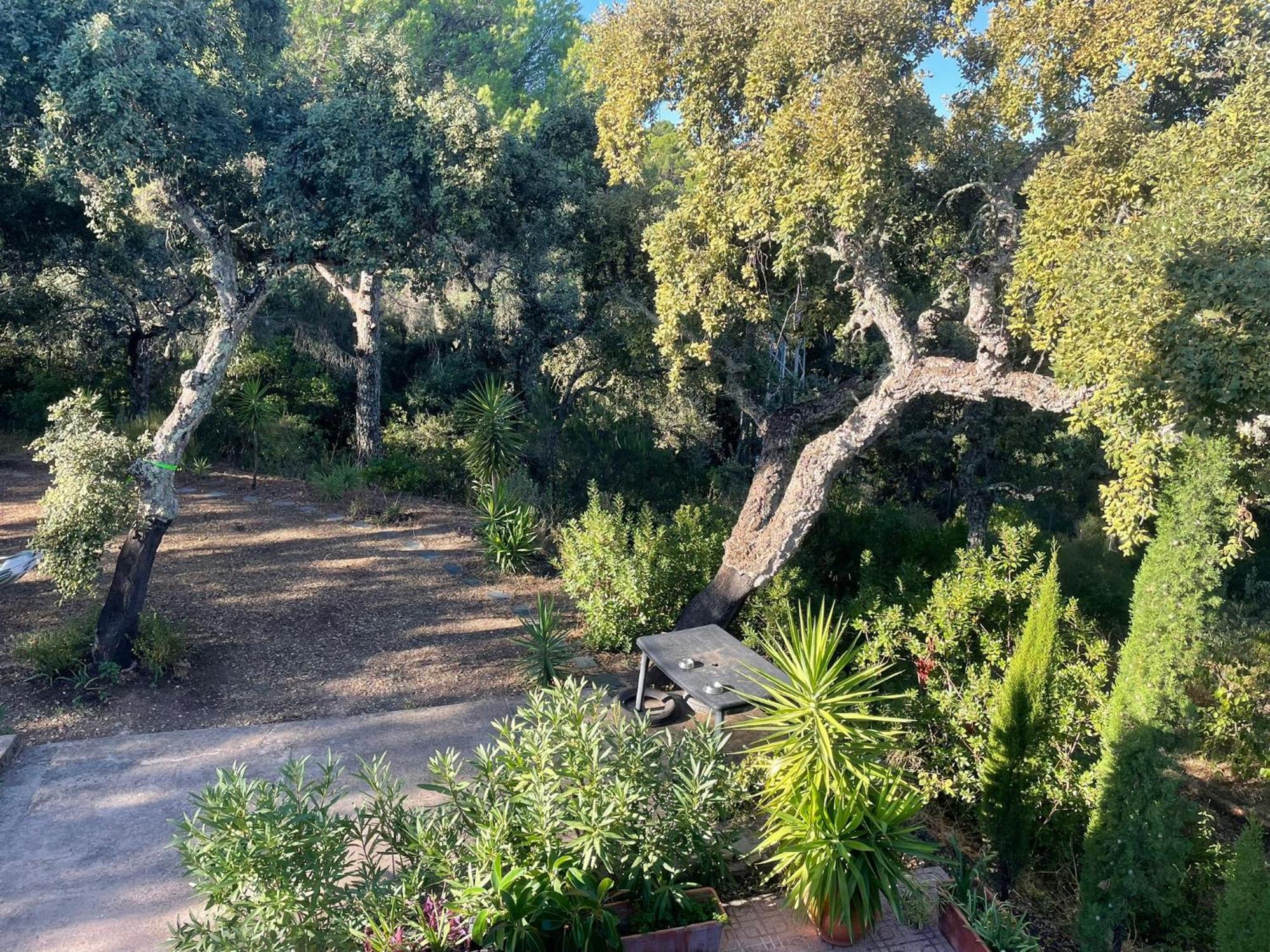 Casa San Francisco De Asis Βίλα Κόρδοβα Εξωτερικό φωτογραφία